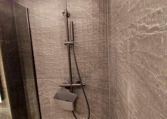 Apartment Ribahouse Brasov